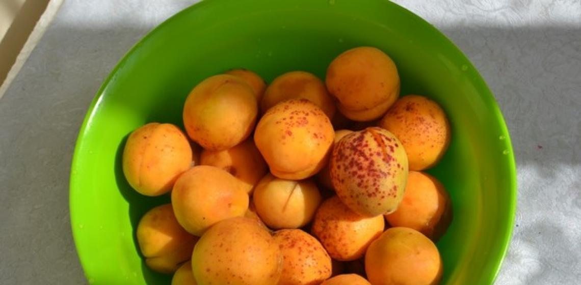 Рецепты разных видов повидла из абрикосов на зиму